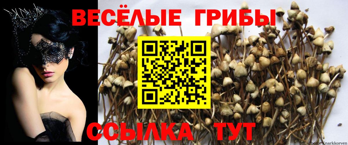 Канабис  Вейп ТГК  Костомукша  ГАШ  МЕФ кристаллы  Вход с VPN  ЭКСТАЗИ 