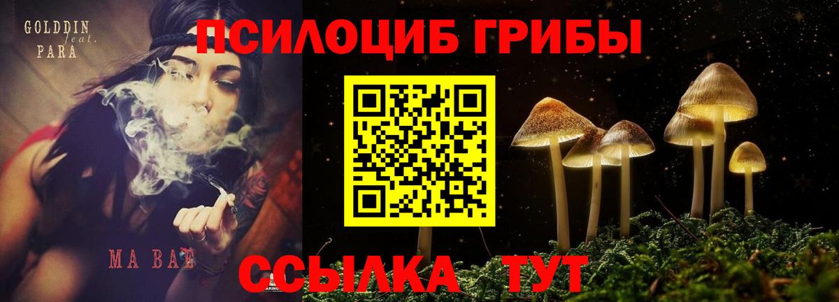 Галлюциногенные грибы Cubensis  Вход с VPN  магазин    Костомукша 